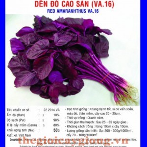 rau den do cao san va16