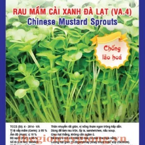 rau mam cai xanh da lat va4