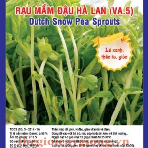 rau mam dau ha lan va5