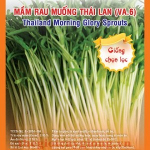 rau mam muong thai lan va6