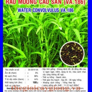 rau muong cao san va186