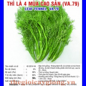 thi la 4 mua cao san va79