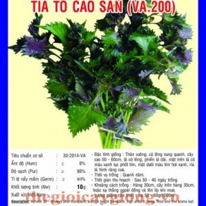 tia to cao san va200