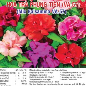 tra phung tien va57