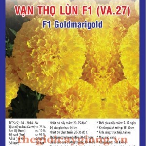 van tho lun f1 va27