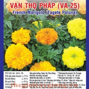 van tho phap va25