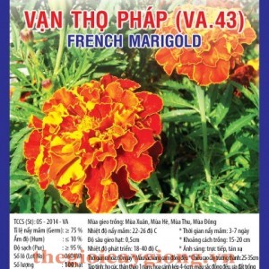 van tho phap va43