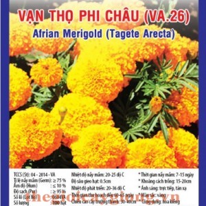 van tho phi chau va26