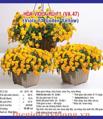 viola ru f1 mix va47