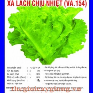 xa lach chiu nhiet va154